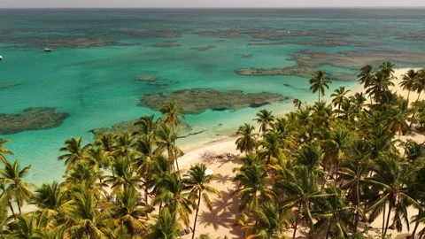 Punta-Popy-Coconut-Palms-Ocean-View-04 Stock Footage 340848811