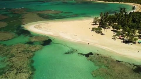 Punta-popy-drone-4k-green-and-blue-water-with-palms-04 Video stock 316495108