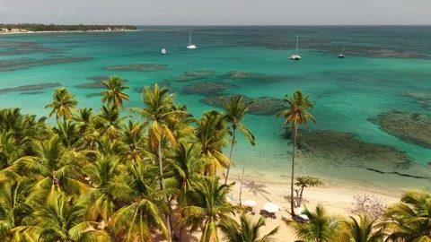 Punta-Popy-Palm-Trees-Sea-Panorama-06 Stock Footage 340848851