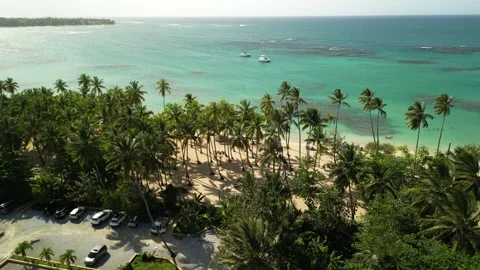 Punta popy tropical coast view 02 Видео 331083655