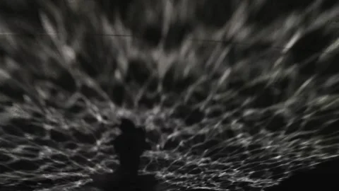 Punting in Cambridge Stock Footage 169456480