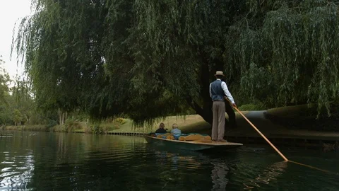 Punting down the Avon River underneath willow tree, Christchurch Stock Footage 86655977