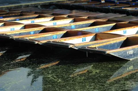 Punts at Cambridge Stock Photos
