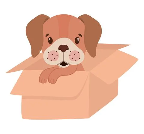 Pup in a box Stock Illustration