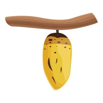 Pupa cocoon icon cartoon vector. Natural leaf Stockillustratie