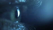 Pupil In The Dark, Close Up Stock Footage