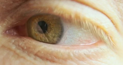 Pupil of the eye moves left to right, look around. Close-up of a human eye Vídeo Stock 268986844
