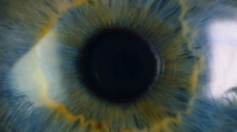 Pupil of the eye narrows Stock Footage 39328574