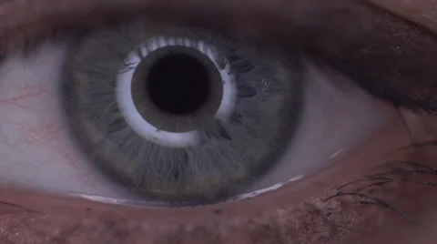 Pupil - the human eye Stock-Footage 34740939