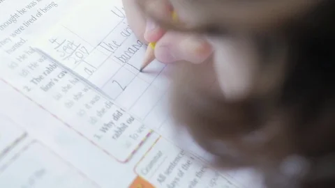 Pupil writing in his notebook Stock Footage 83817227