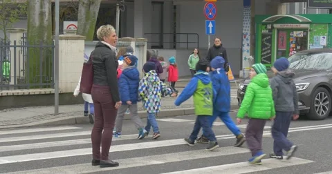 Pupils of Elementary Grades Pass Through a Road Stock Footage 62187469