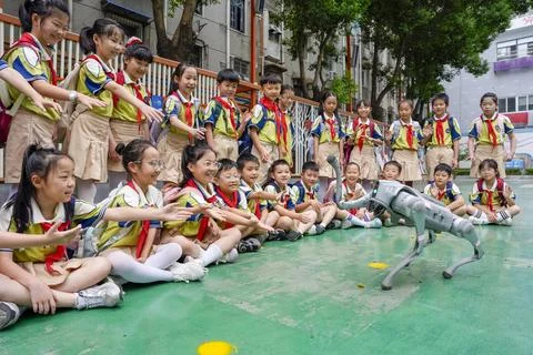 Pupils interact with robot dogs at tech-themed first lesson in Hefei Stock Photos