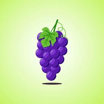 Puple grapes icon isolated on green background. Colorful cartoon fruit icon. Stock Illustration