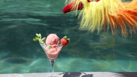 Puppet bird eats ice cream. Stock Footage 70517993