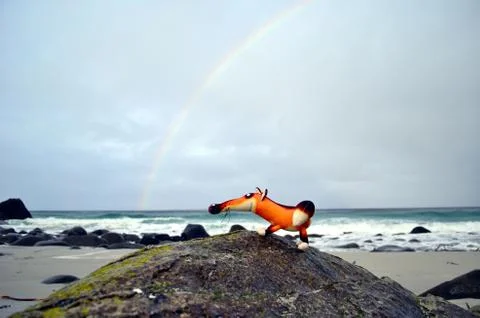 Puppet fox is chilling on the beach with rainbow on the sky Stock Photos
