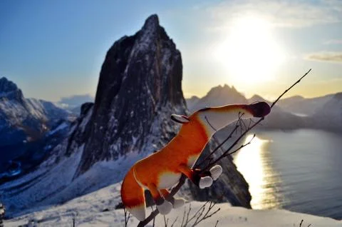 Puppet fox has reached the top of mountain with beautiful view on the rock Stock Photos