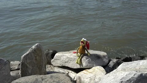 Puppet left behind on rocks in Long Island City Stock Footage 285017936