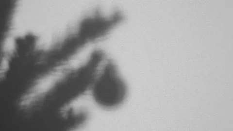 Puppet Shadow Theatre. The balloon toy hangs from a spruce branch by hand Stock Footage 165396962