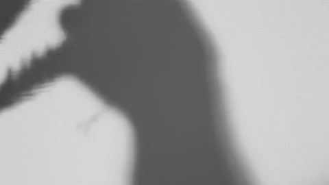 Puppet Shadow Theatre. A toy cone hangs from a spruce branch by the hand Stock Footage 165396489
