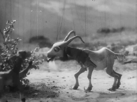 The puppet show of animals dancing around trees - 1938 Stock Footage 95816276