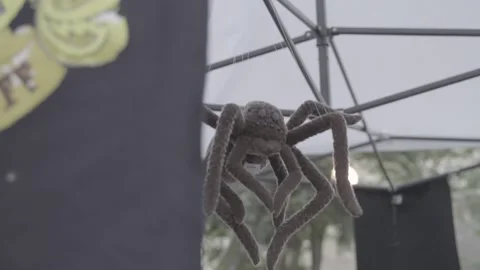 Puppet spider Harry Potter, Aragog, attached to a stand at a fair 動画素材 132464230