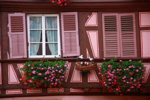 Puppets on window Stock Photos