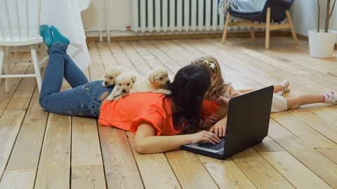 Puppies Lying on Back of Woman Working on Laptop Stock Footage 125192753