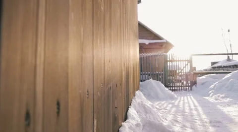 Puppies ran outside Stock Footage 59794058