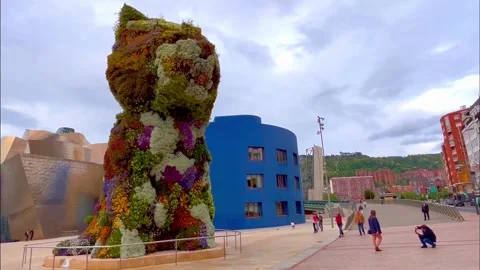 Puppy Bilbao Video stock 240180620