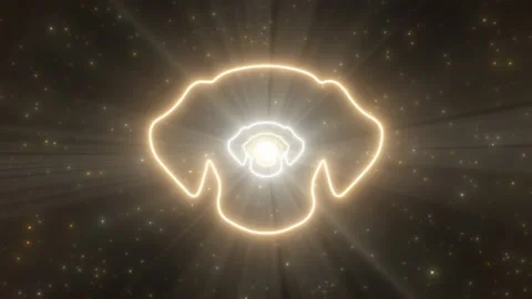 Puppy Dog Face Head Shape Outline Glow Neon Light Tunnel Hound Portal Stock Footage 171314564