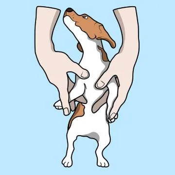 The puppy on hands Stock Illustration