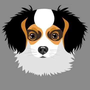 Puppy isolated on grey background Stock Illustration