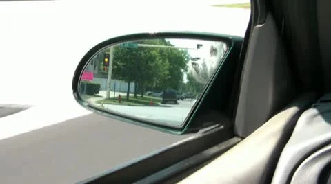 Puppy-in-mirror-while-driving Stock Footage