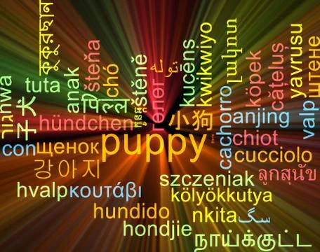 Puppy multilanguage wordcloud background concept glowing Illustrazione stock