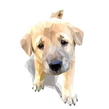 Puppy polygon vector art. Stock Illustration