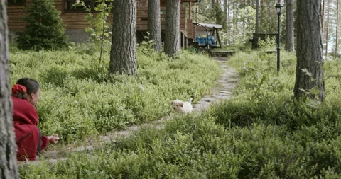 Puppy running to the owner Stock Footage 233992330