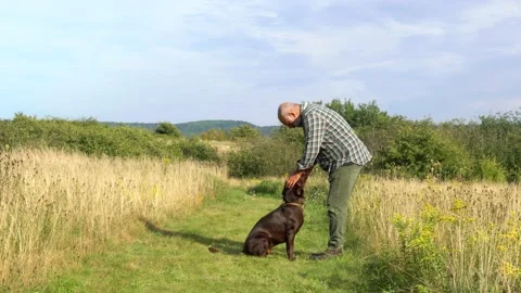 Puppy training Stock Footage 159749432