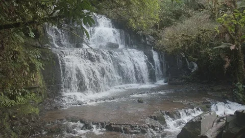 Purakaunui falls static shot, Catlins New Zealand Stock Footage 90167783