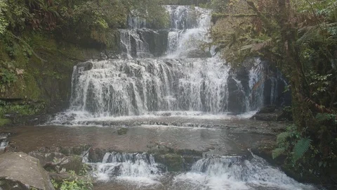 Purakaunui falls static shot, Catlins New Zealand Stock Footage 90170774