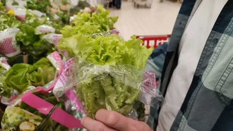 Purchase of vegetables for the restaurant kitchen Stock Footage 287827106