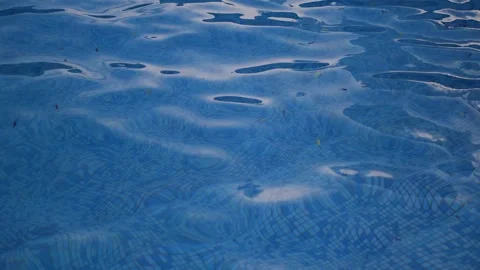 Pure blue water in the pool with light reflections. Blue water in the pool. Stock Footage 142795566