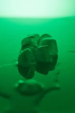 Pure clean Ice Cubes Melting On Mirror Surface In Neon Green Light Still Life Stock Photos