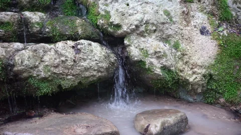 Pure, clear water flows from the rocks of the mountains Stock Footage 265252370