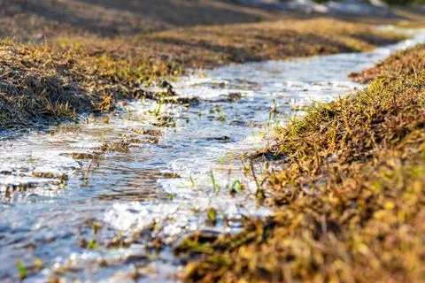 Pure cold stream covered with thin ice in the spring sunshine, selective focu Stock Photos