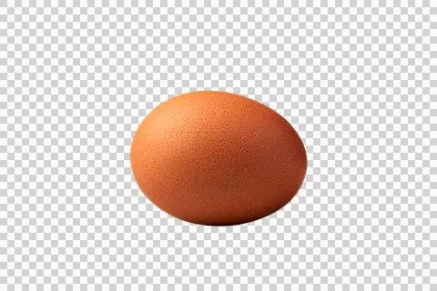 Pure egg isolated with clipping path on grey gradient Stock Photos