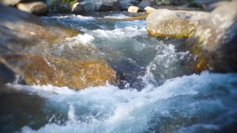 Pure forest river Stock Footage 78248667