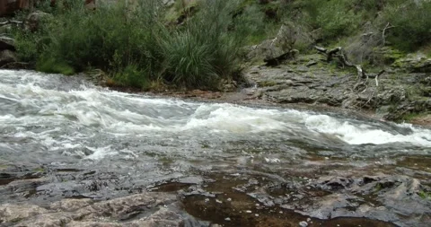 Pure Fresh Water, In Forest River Clip3313 Stock Footage 208917196