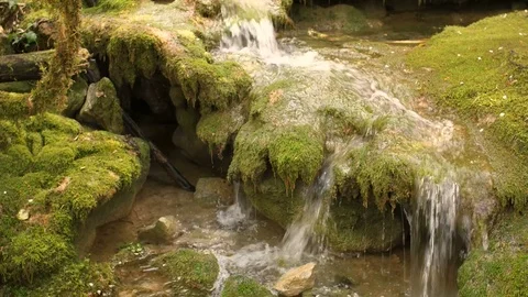 Pure Fresh Water Source of Mountain in the Forest 15	 Vidéo 84852045