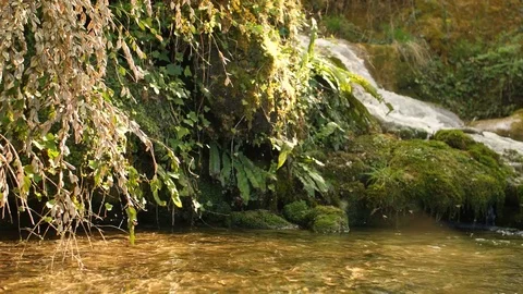 Pure Fresh Water Source of Mountain in the Forest 17	 Vidéo 84852197