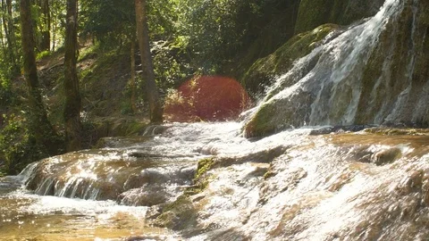 Pure Fresh Water Source of Mountain in the Forest 2	 Stockbeeldmateriaal 84852692